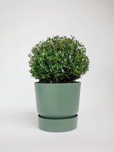 products/SotoProductShootLowQ-2016.jpg